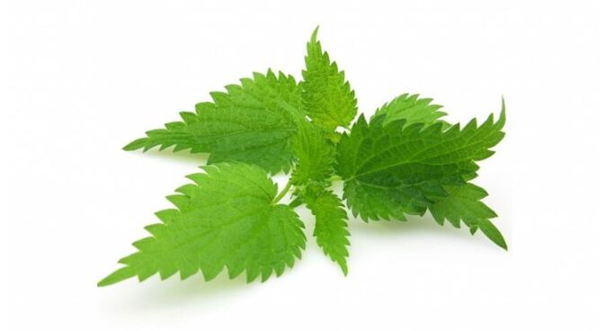 Nettle will eliminate acne and increase the elasticity of the skin